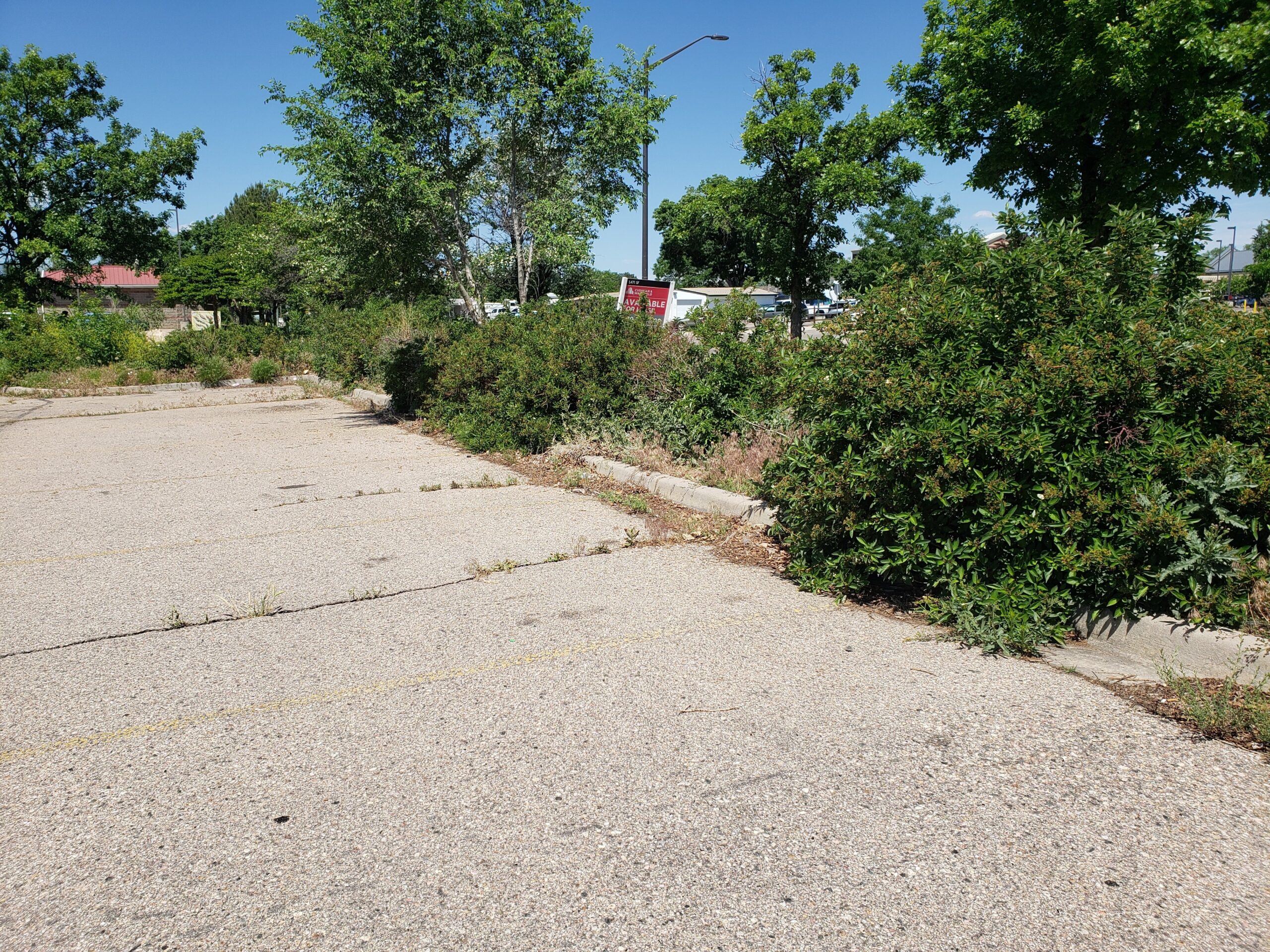 1636 N College parking lot before photo